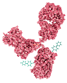Bioconjugation Facility