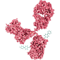 Bioconjugate