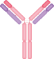 Antibody