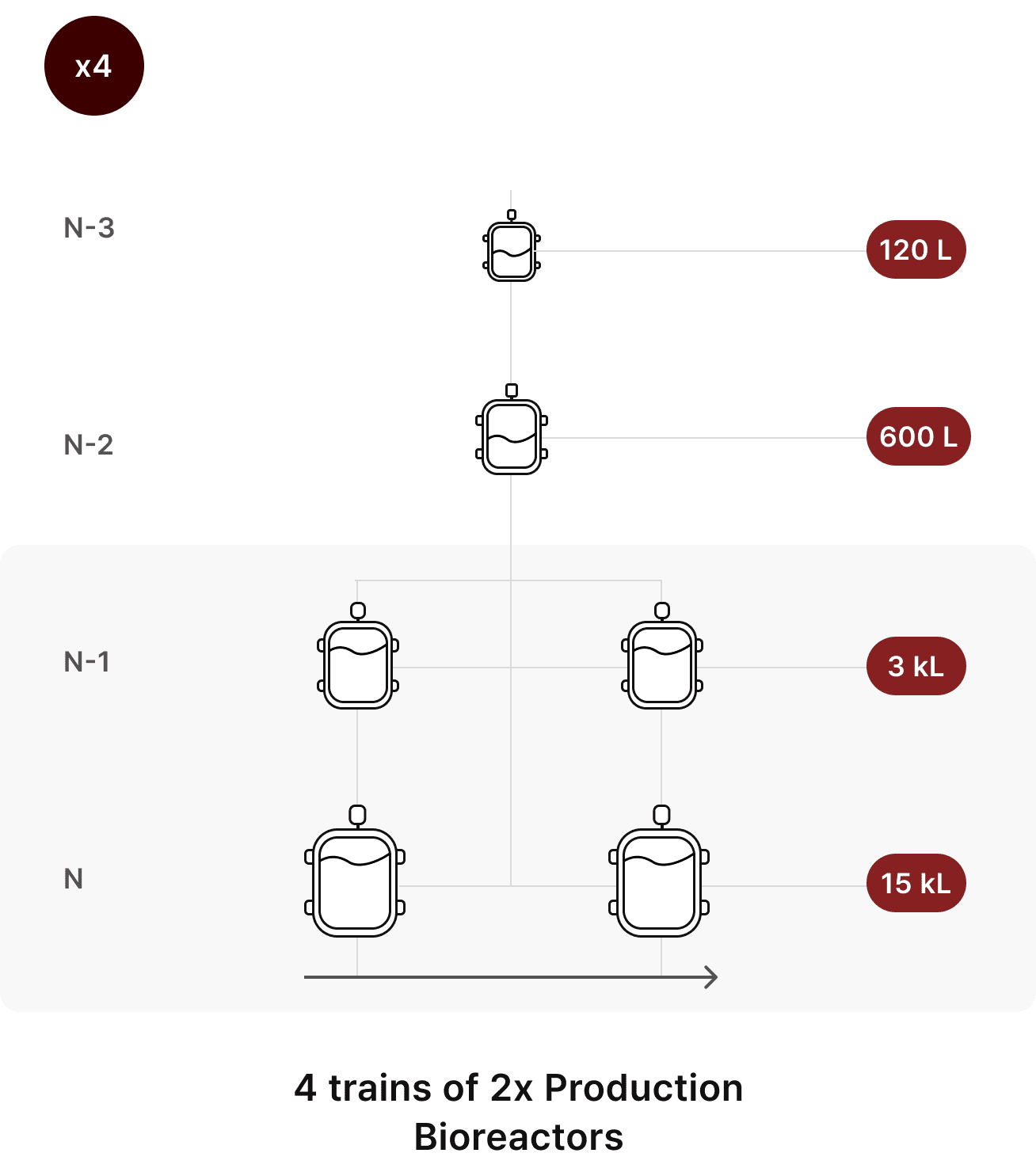TiterFlex Quad™ train: N-3 120 L and N-2 600 L seed bioreactors feeding two 3 kL N-1 and two 15 kL N production bioreactors, 4 trains