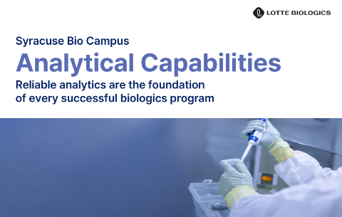 Analytical Capabilities Mini Brochure