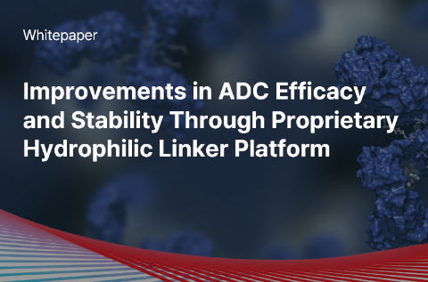 Improvements in ADC Efficacy and Stability Through Proprietary Hydrophilic Linker Platform