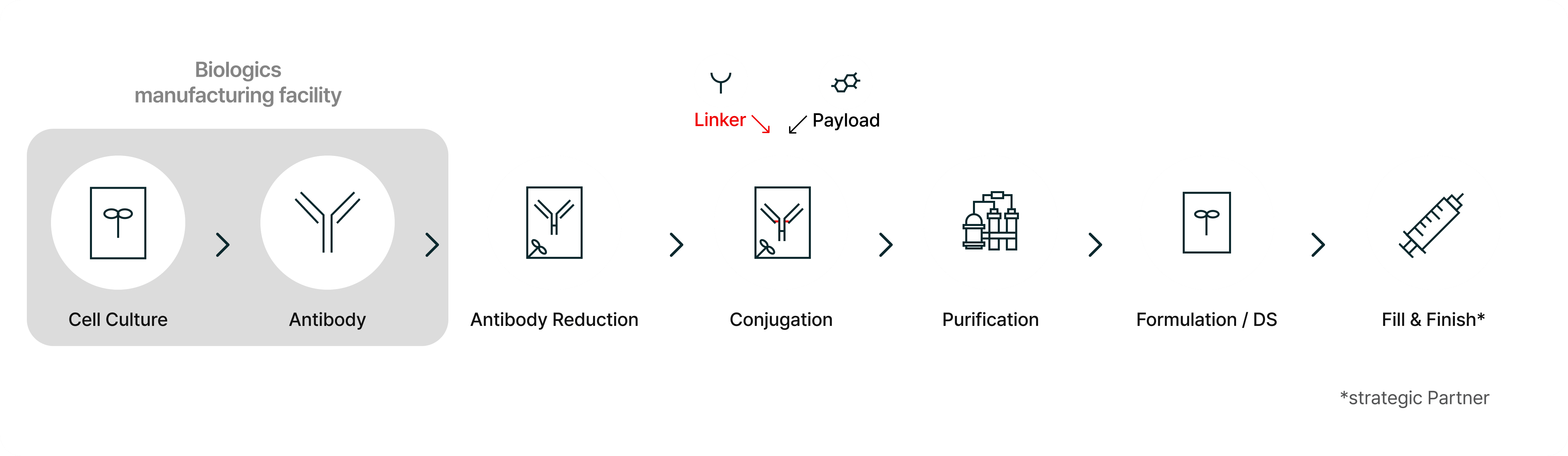 End-to-End Bioconjugate Provider